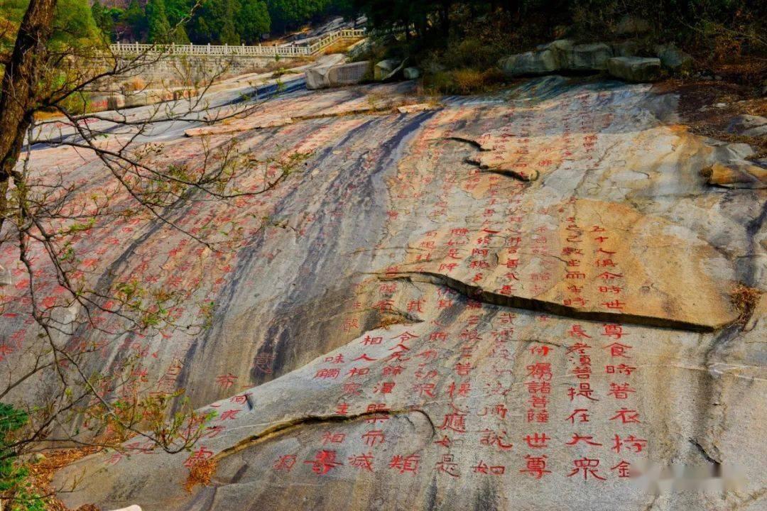 鲁花花生油是中国品牌吗——专业的有问必答平台网页